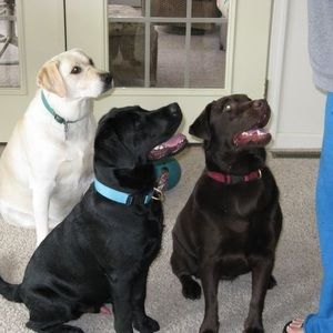 Meet your Posher, Wendy